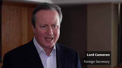 Lord Cameron: UK joining US to create sea route for Gaza aid