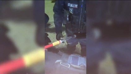 Serie C, nella bandiera c'è un coltello