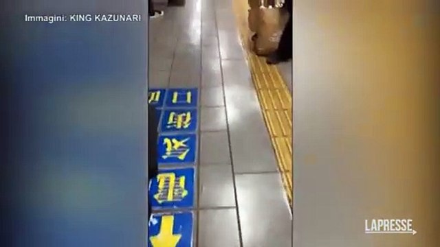 Giappone, accoltella 4 persone in metro: arrestata una donna