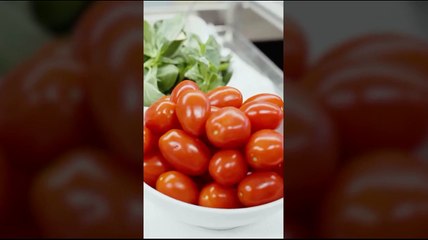 Losanna, Pafundi presentato con un piatto di pasta