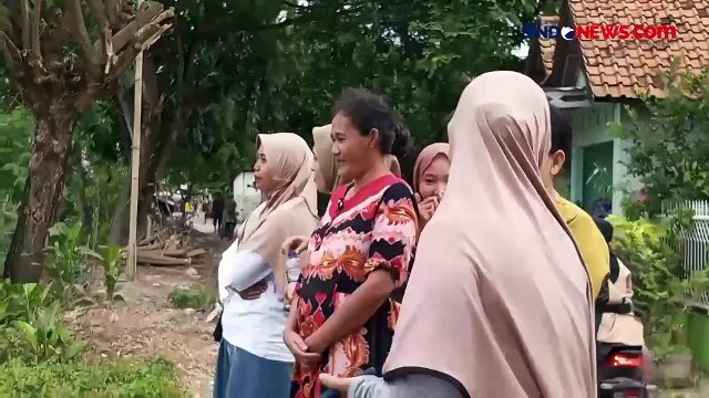 Buaya Berjemur Dekat Pemukiman di Bekasi, Jawa Barat Resahkan Warga