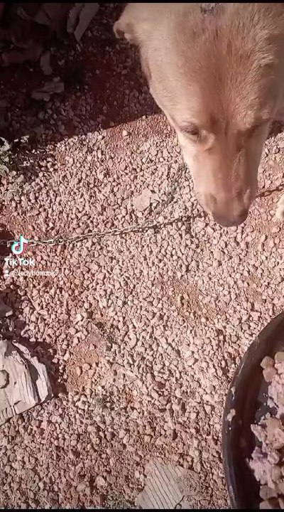İşte en yeni videom