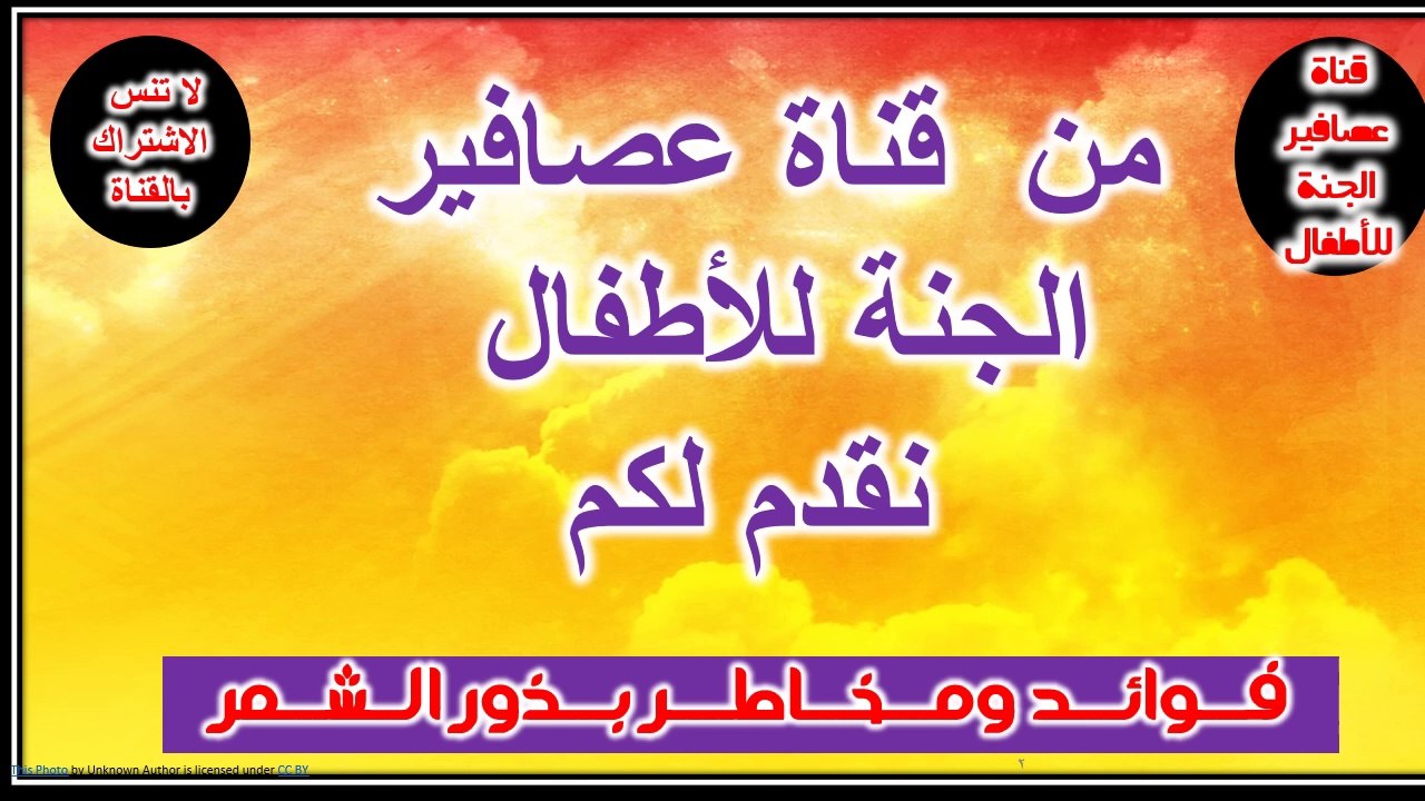 فوائدو مخاطر بذور الشمر