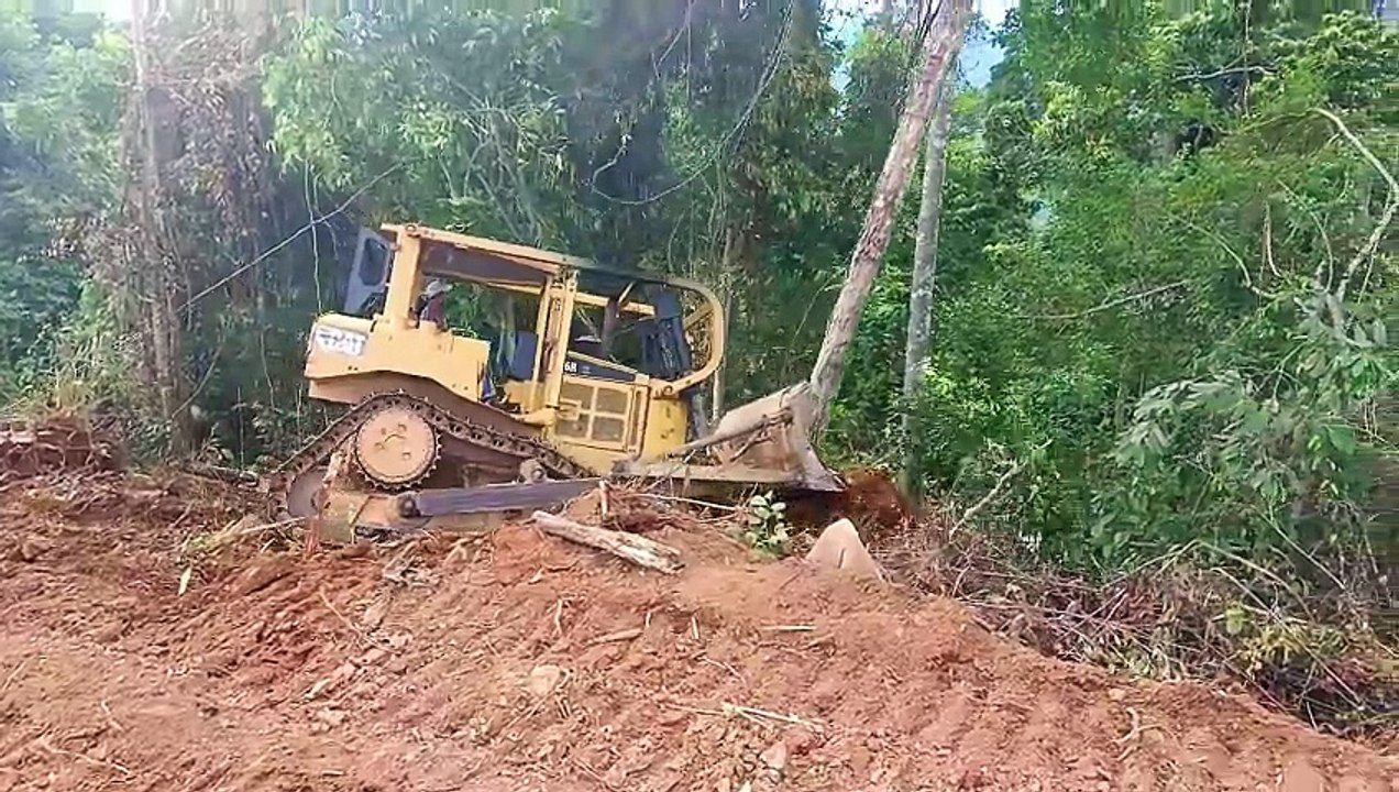 Efficient Steps for Palm Oil Land Clearing Use of D6R XL Bulldozer