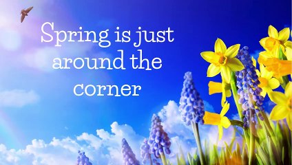 Spring is just around the corner