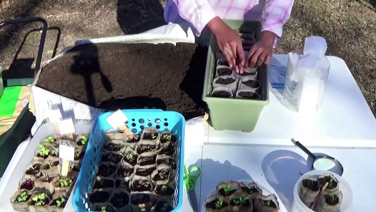 January 12, 2022.  Preparing For Spring Planting Flower, Seeds On A Warm Winter Day.