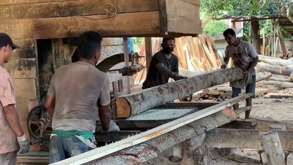 Create Miracles from Wood with Monster Sawing Machine