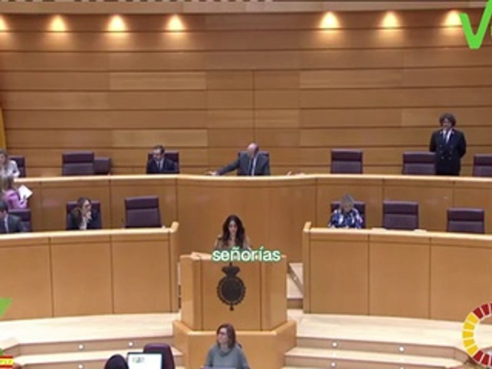 Paloma Gómez Enríquez. Interviene en Mocion sobre Igualdad. Pleno de 06.03.2024