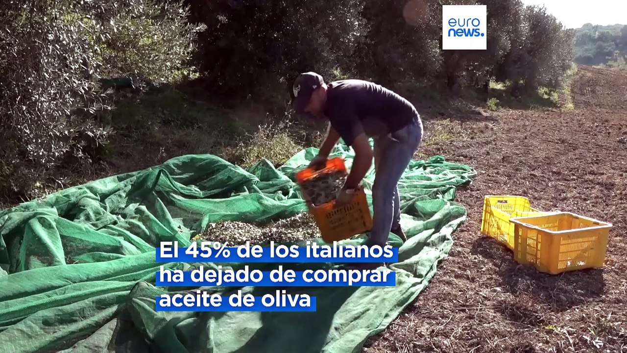 Los consumidores ya sustituyen el aceite de oliva por estas otras opciones más económicas