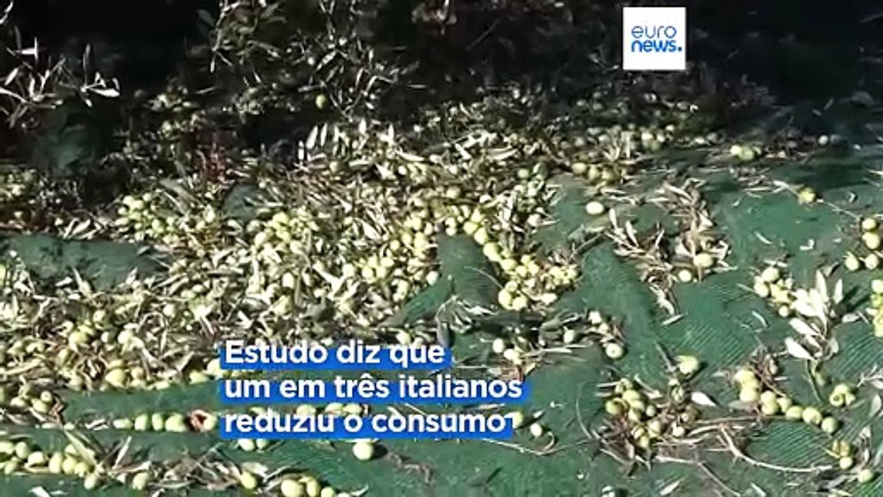 Preços altos levam italianos a afastar-se do azeite
