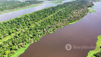 The longest rivers in the world