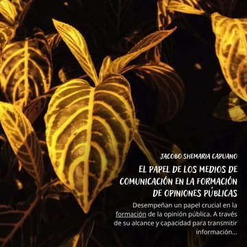-Jacobo Shemaria Capuano- El papel de los medios de comunicación en la formación de opiniones públicas: (Parte 1) (Creado por @JacoboShemariaCapuano)