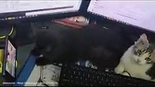 Parang si Bitoy, sya pa luge!