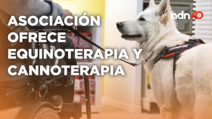 "Protección Animal Nitin" ofrece equinoterapia y caninoterapia para personas con alguna discapacidad