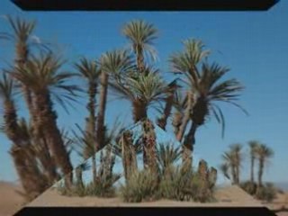 EL OUED SOUF Algérie