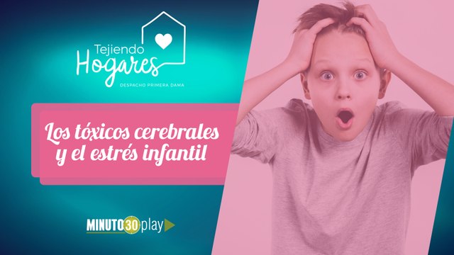 Tejiendo Hogares. Carolina Zapata: Los tóxicos cerebrales y el estrés infantil