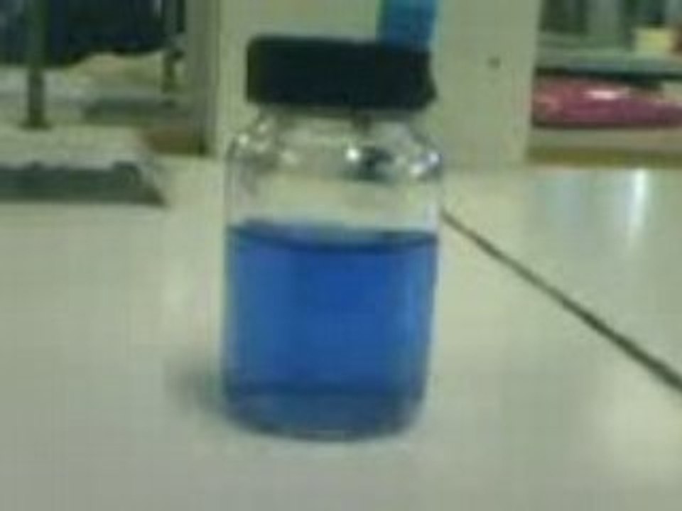 Nous en pleine adoration !