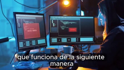 VSL T.K Novo 2024: Latest Updates