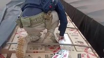 PRF apreende carga de cigarros e maconha