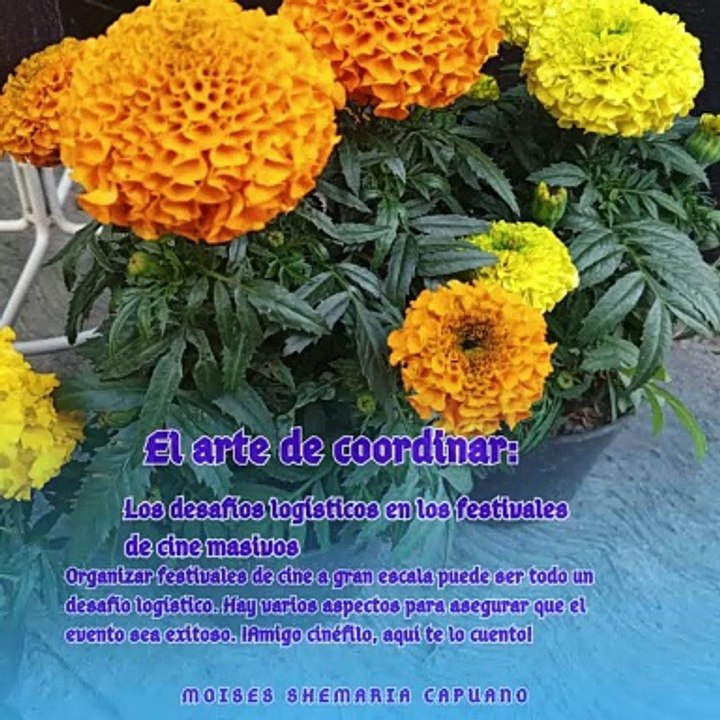 Moises Shemaria Capuano| El arte de coordinar (parte 1)