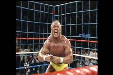 WWE superstars analysis of wrestle mania 3