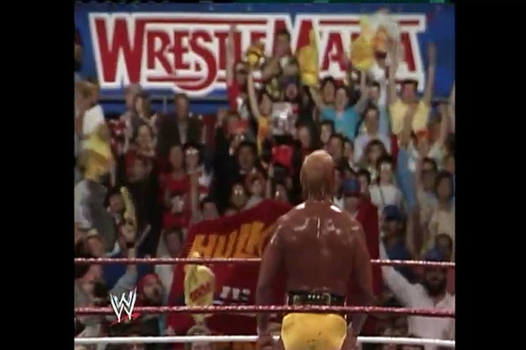 everyone's verdict on hogan v McMahon