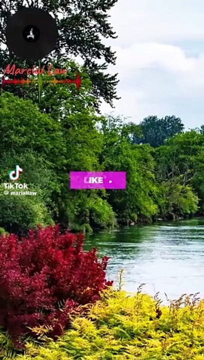 That's what friends are for