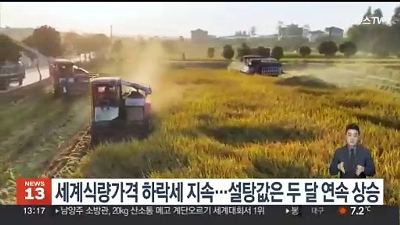 세계식량가격 하락세 지속…설탕값은 두 달 연속 상승