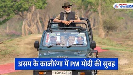 काजीरंगा में मोदी की बेहतरीन तस्वीरें, जंगल में घुसते ही PM ने थामा कैमरा