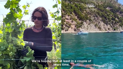 Meet the couple who travelled Europe to learn eco skills and are now putting down roots in Italy