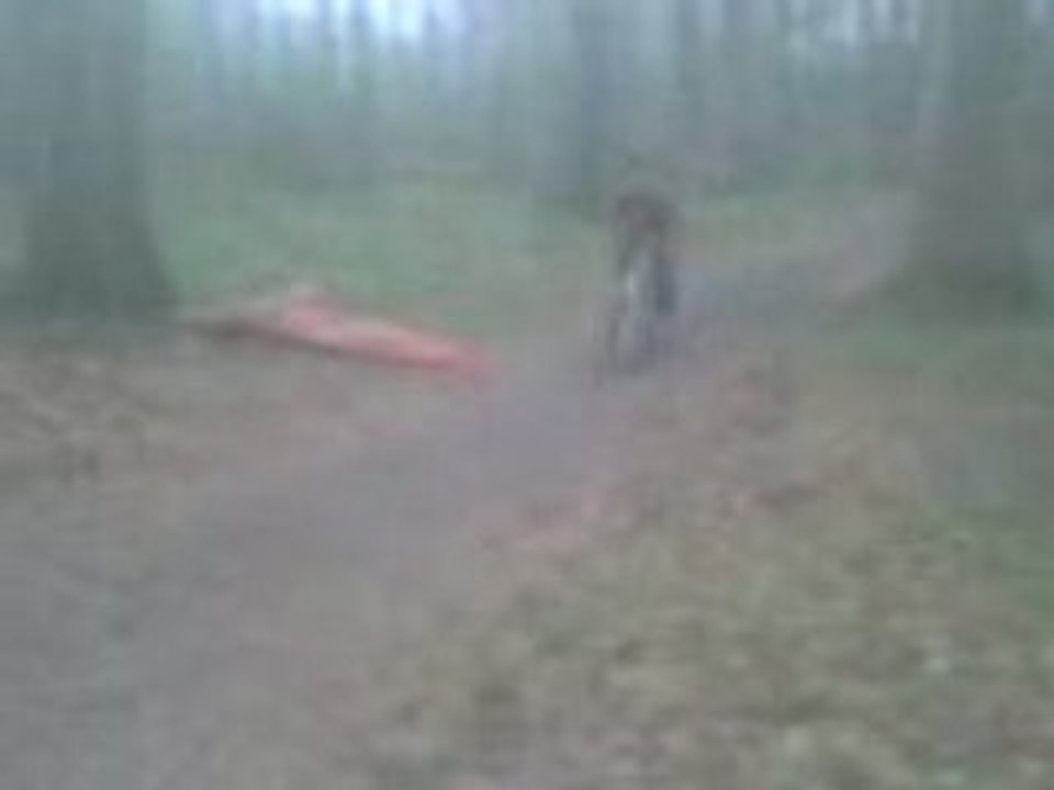 Limasse 2