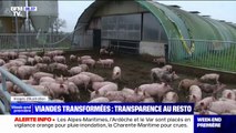 Viandes transformées: l'origine des produits doit désormais être affichée