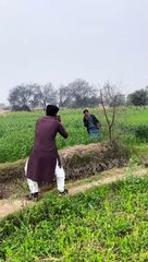 chek result ##shoaibsaraikiextra2##foryou##varalvideo