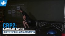 Activating the posterior chain for low back pain _ Tim Keeley _ Physio REHAB