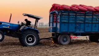 How to pull heavy load | sonalika tractor performance vs Mahindra