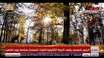 لو بتيأس من أقل حاجة.. دي قصص لأبطال بلدك هتعلمك الانتصار على الانكسار