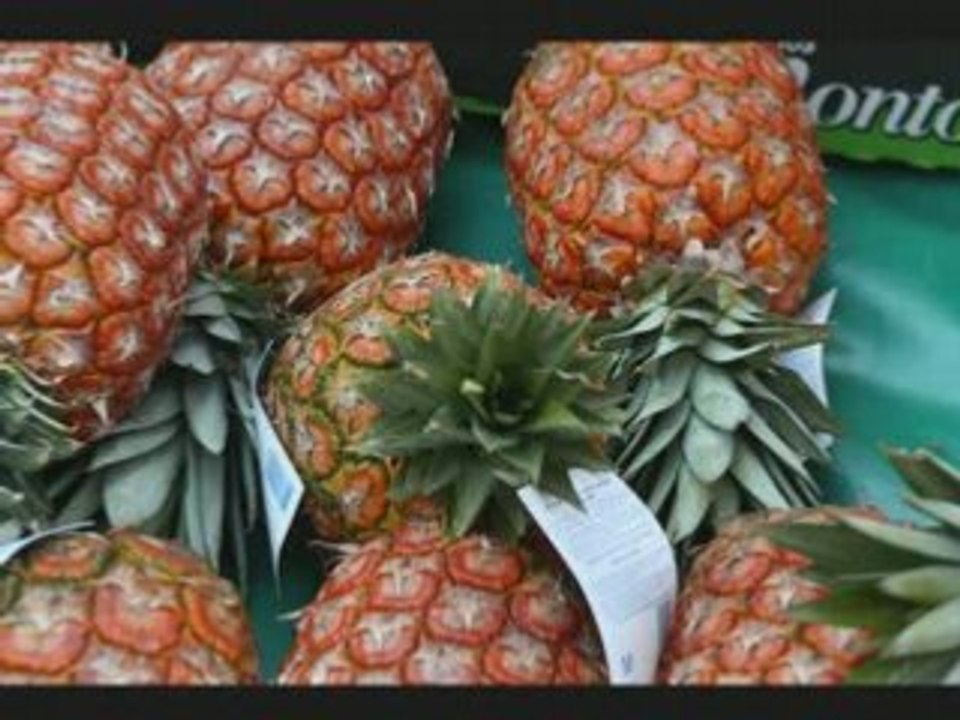 Marché de st-brieuc