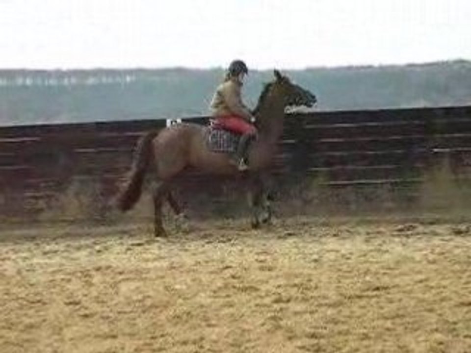 DSCN5891