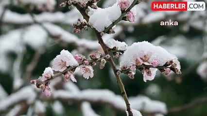 Yozgat'ta Kar Yağışı Çiftçileri Sevindirdi