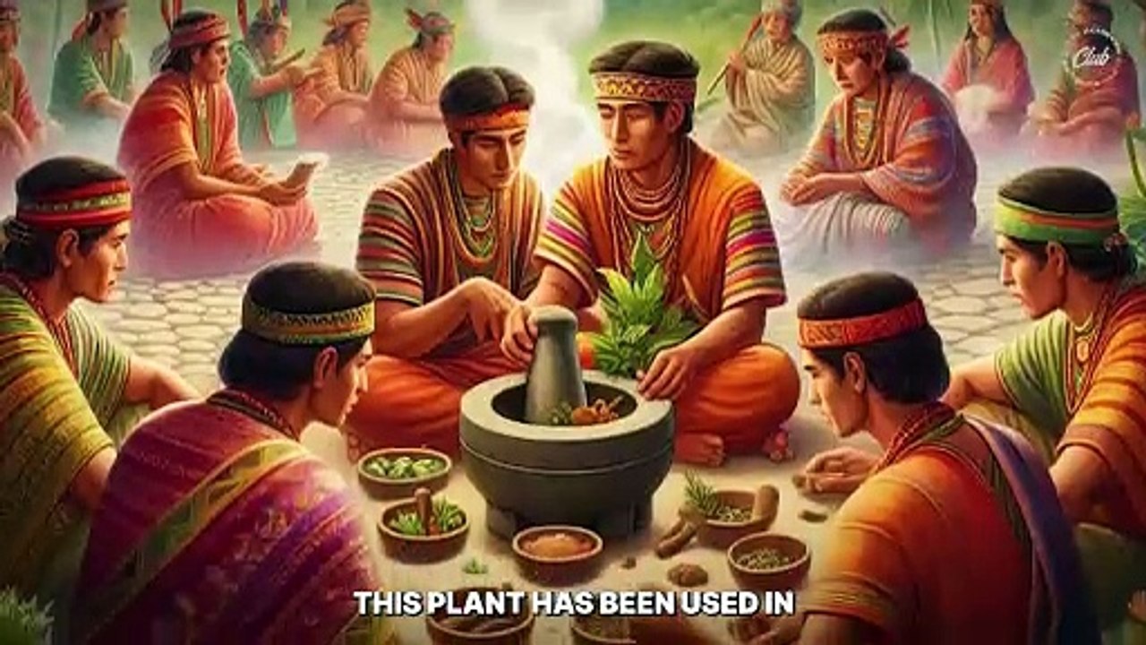 Fix Ur SexLife_ Tongkat Ali vs Tribulus Terrestris