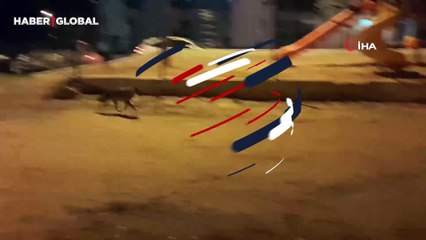 Sinop'ta şehre indiler! O anlar kayıt altına alındı