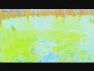 Killer Dolls Want To Eat You