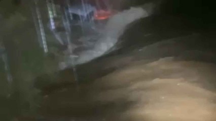 Vídeo de la intervención del Consorcio Provincial de Bomberos por un coche atrapado en un arroyo de Estepona.