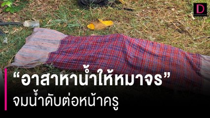 เศร้าสลด! นักเรียน ม.3 เสียชีวิตขณะหาน้ำให้หมาจรจัดในหน้าร้อน 🐾