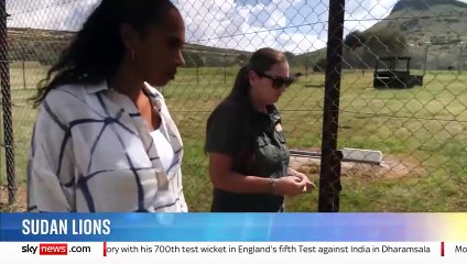 How lions left to die were rescued from war-torn Sudan