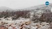 Meteoroloji uyarmıştı: Diyarbakır’da beklenen kar yağdı
