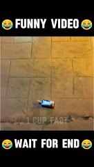 New Funny Video 2024  #viralvideo #trending #funnyvideo