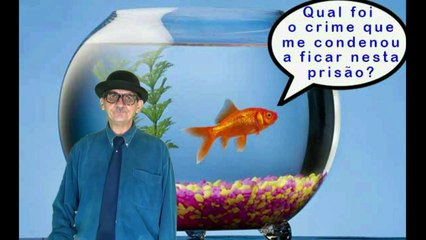 HOROSCOPO DO PIMPÃO Nº 9 - 3ª PARTE - SÉRIE VELHO PALHAÇO.