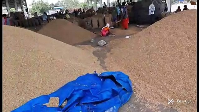 कृषि जिंसों सहित किराना व सर्राफा बाजार भाव