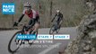 The peloton splitted - Stage 7 - Paris-Nice 2024
